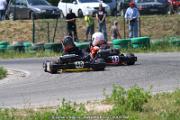 20110501_ales_agnus (2982)